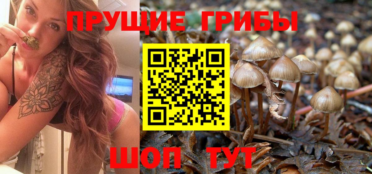 Галлюциногенные грибы Psilocybine cubensis Отрадный