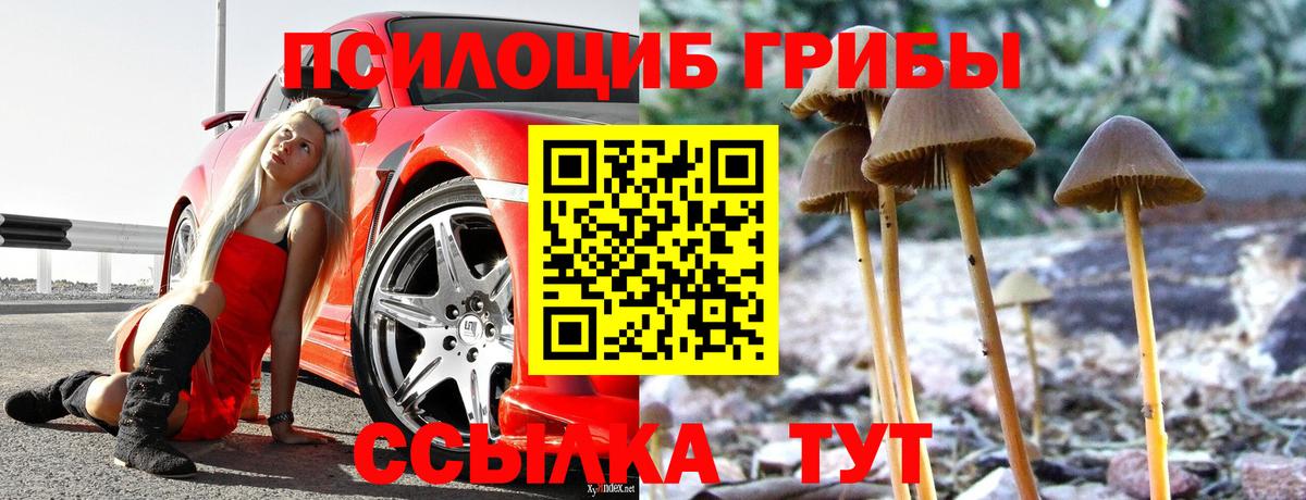Галлюциногенные грибы Magic Shrooms  Вход с VPN  Отрадный 